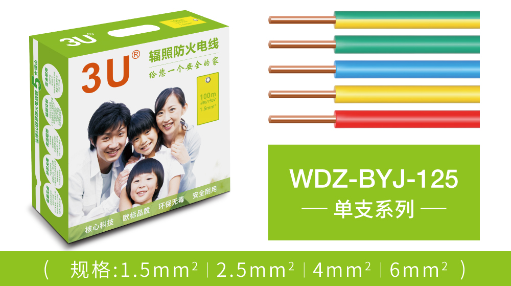 WDZ-BYJ-125单支系列